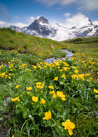 Swiss Alps