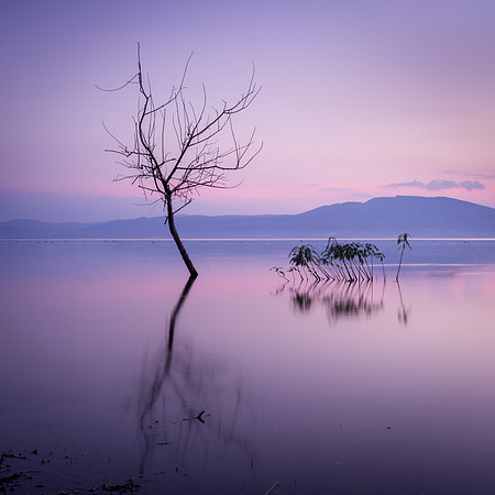 Mexico - Chapala