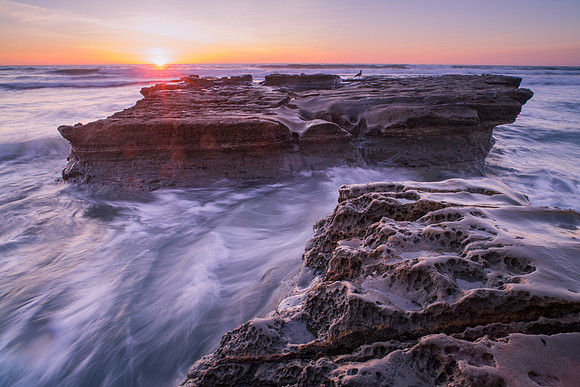 San Diego - Torrey Pines
