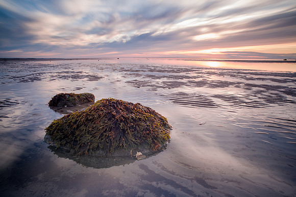 Cape Cod