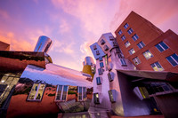 MIT (Cambridge)