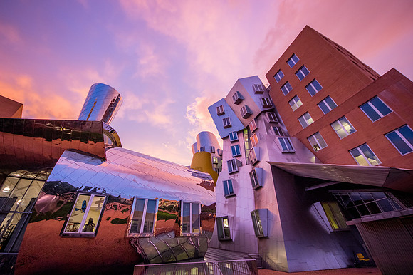 MIT (Cambridge)