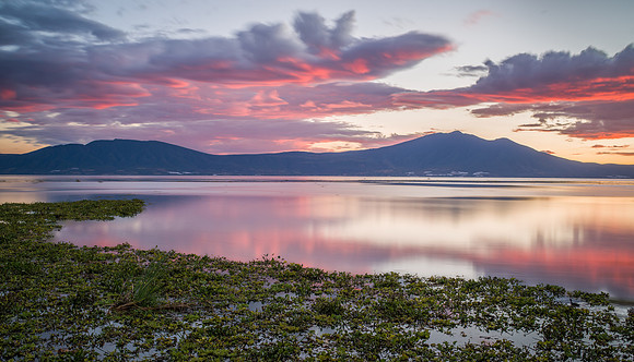Mexico - Chapala