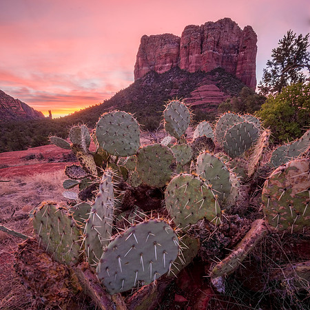 Sedona, AZ (Courthouse Butte)