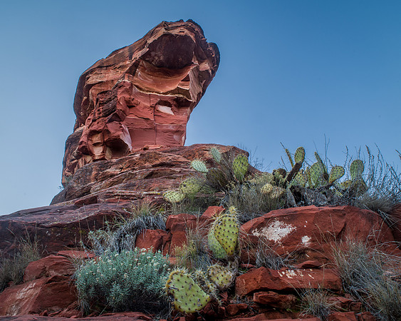 Sedona, AZ